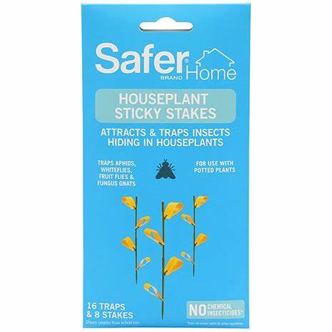 STAKE STICKY HOUSEPLANT HOME