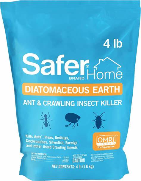 POWDER KILLER ANT/INSCT DE 4LB