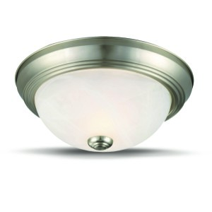 544726 2LT CEIL LIGHT SN