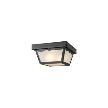 544916 2LT CEIL LIGHT BLK