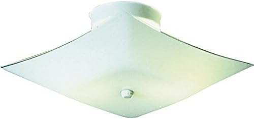 544429 2LT CEIL LIGHT WHT