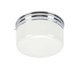 544403 2LT CEIL LIGHT CLR