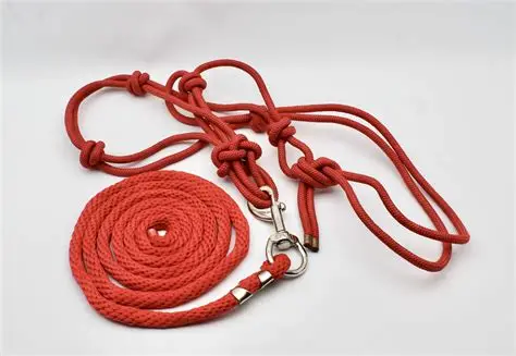 HALTER ROPE MNTN RED 3/8IN