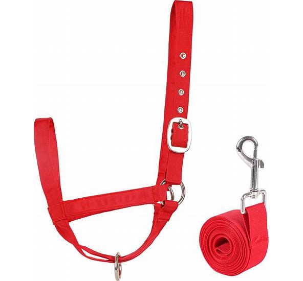 HALTER CALF ROPE W/CHAIN RED