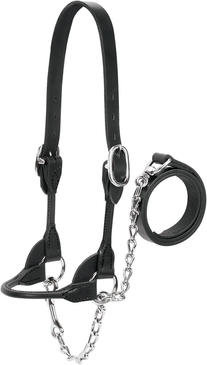HALTER COW ROPE W/CHAIN BLACK