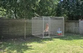 DOG KENNEL