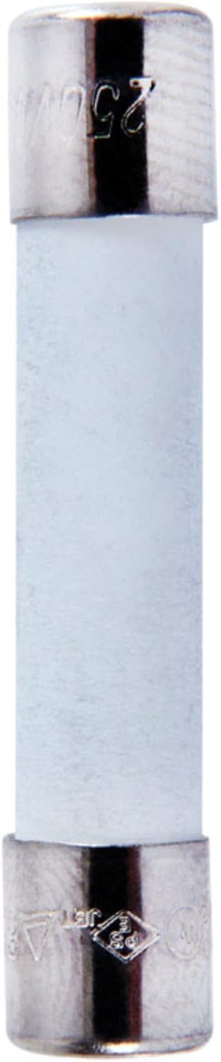 Fuse MDA 12A Time Delay CERAM P