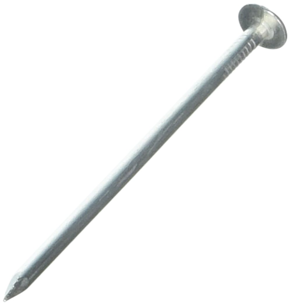 NAIL ROOFING EG 3IN 5LB
