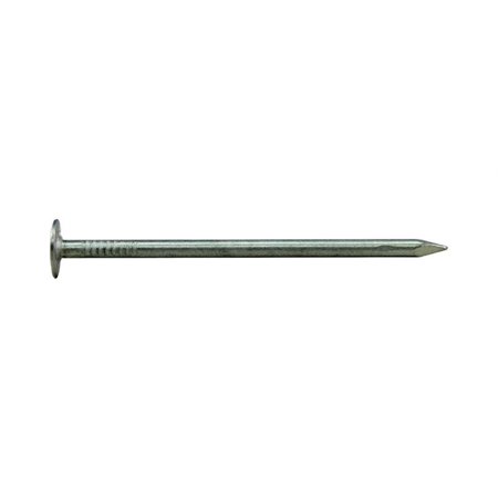 NAIL ROOFING EG 1-1/2IN 5LB