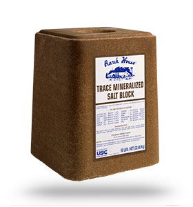 TRACE MINERAL SALT BLOCK