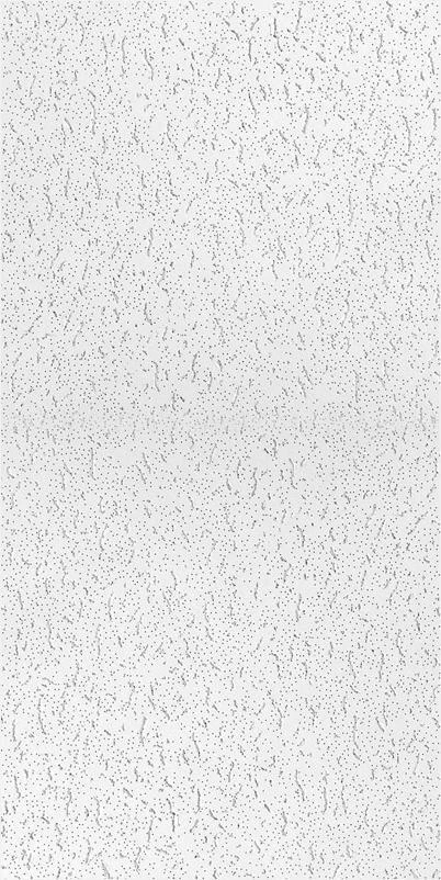 2X4 CEILING TILE