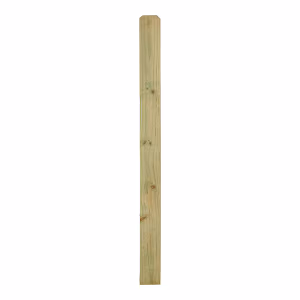 DOG EARS 5/8X5-1/2X6