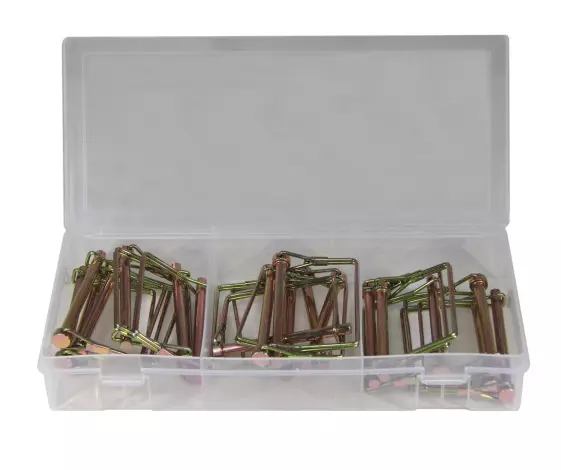 20PC SQ PTO PIN ASSORTMENT